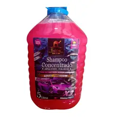SHAMPOO CONCENTRADO X5LRT