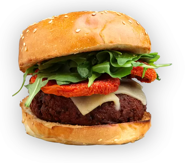 HAMBURGUESA MEDITERRANEA INDIVIDUAL