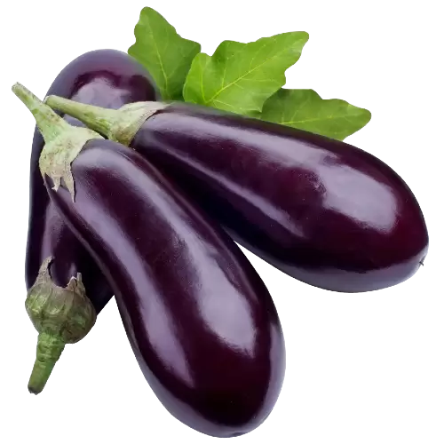 BERENJENA